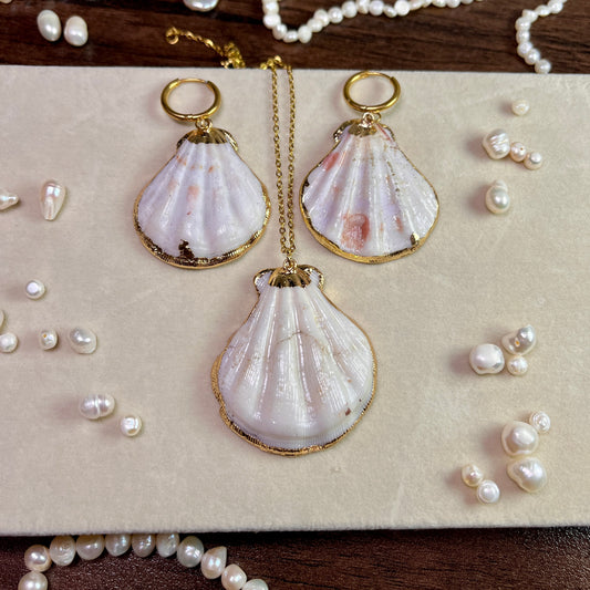 Natural Scallop - full set